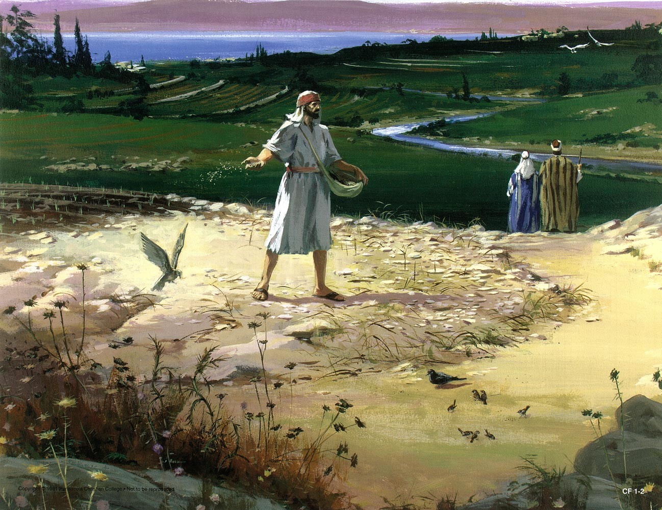 Parable of the Sower by Damian Duffy
