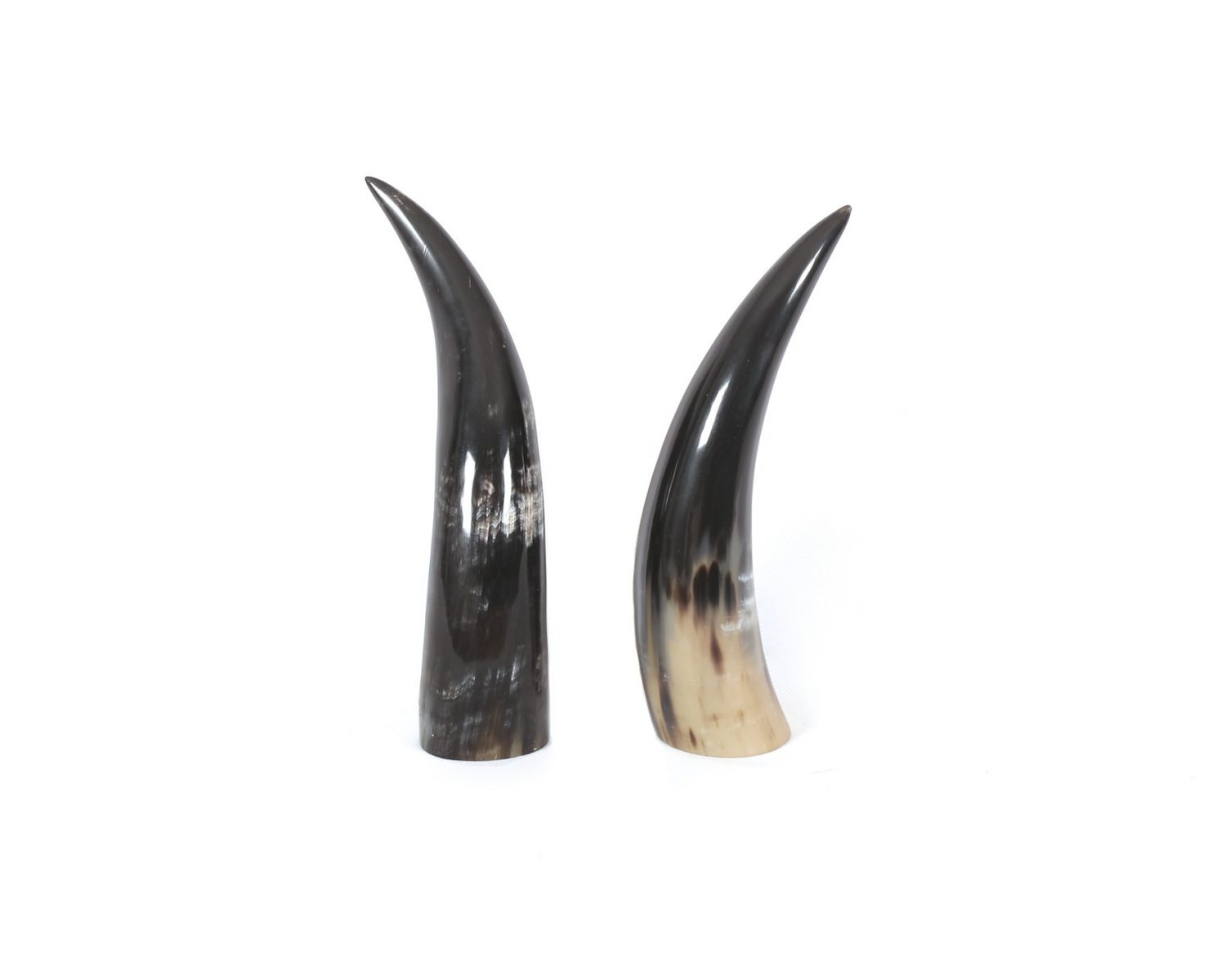 Horns ⋆ Bible Symbols