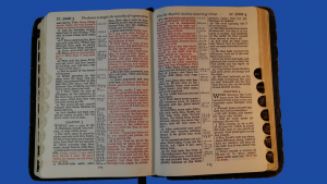 Bible John 3:16