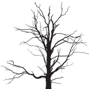 Dry Tree